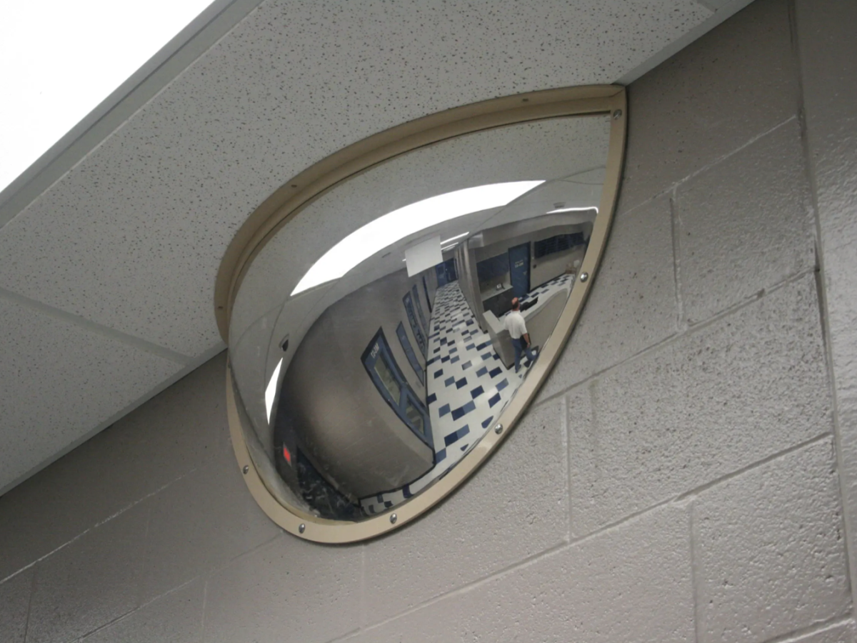DuraVision Half Dome Mirror SWS Group